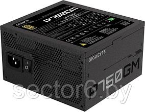 Блок питания Gigabyte P750GM