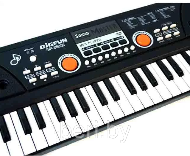 BF-530A2 Детский синтезатор Bigfun, пианино, микрофон, USB, MP3, запись, 49 клавиш - фото 3 - id-p147644179