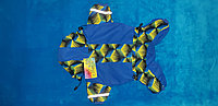 Комбинезон для собак на подкладке Флис - Весна/Осень с рисунком "3D желто синий"
