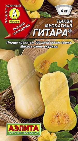 Тыква мускатная "Гитара", 1 г (Остаток 1 шт !!!)