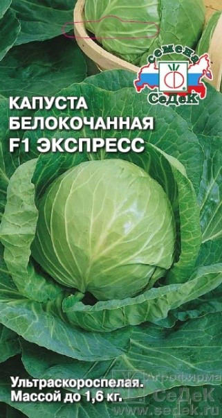 Капуста Экспресс F1, 0,3 г (Остаток 3 шт !!!)