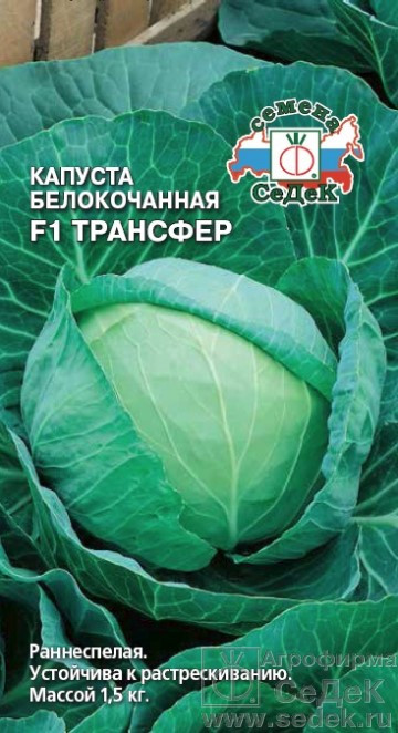 Капуста Трансфер F1, 0,3 г (Остаток 9 шт !!!)