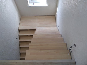 Лестница со ступенями и ограждением 1
