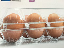 Упаковка для яиц (лоток) полимерный на 10;15;12 (6х2) ячеек