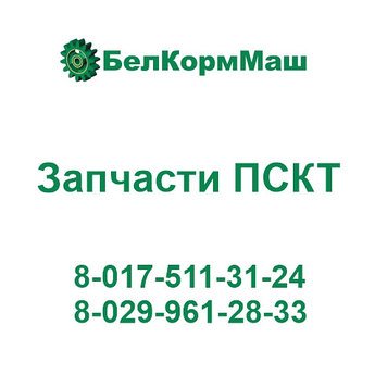 Заглушка ИСРК-12.10.00.003 для ПСКТ-15 "Хозяин"