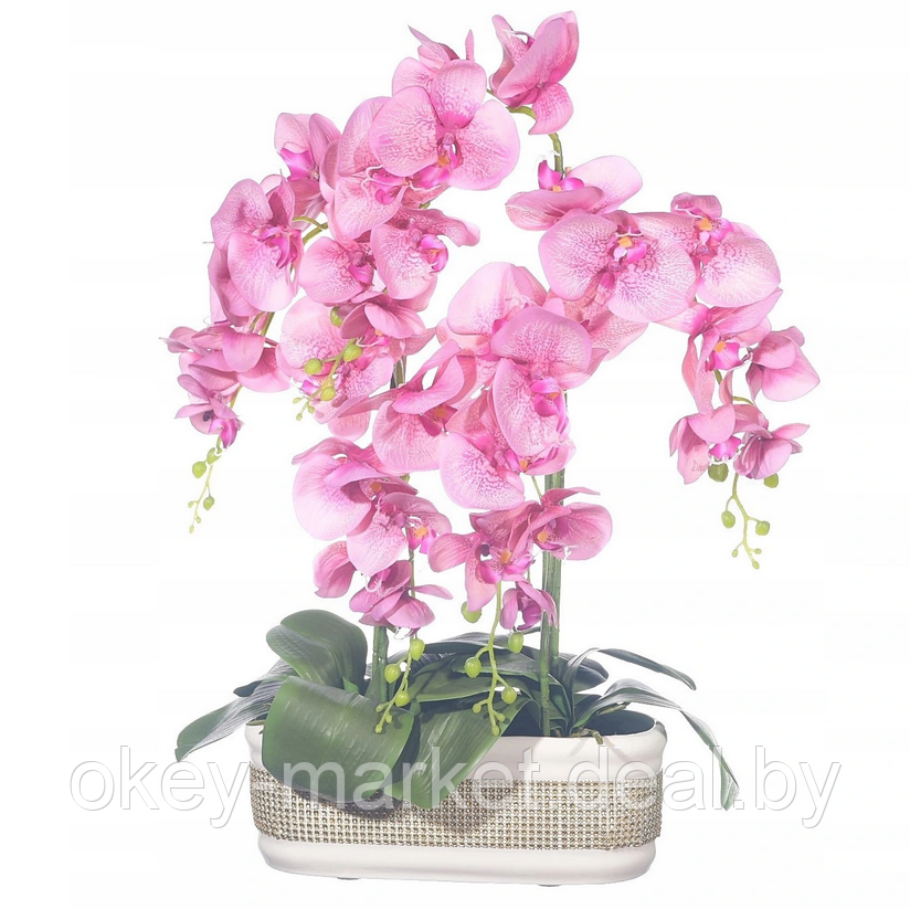 Цветочная композиция из орхидей в горшке F-57