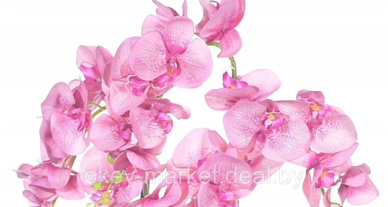 Цветочная композиция из орхидей в горшке F-57 - фото 4 - id-p147752349