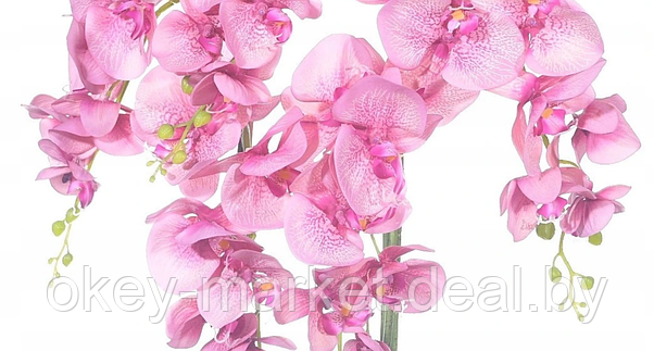 Цветочная композиция из орхидей в горшке F-57, фото 3
