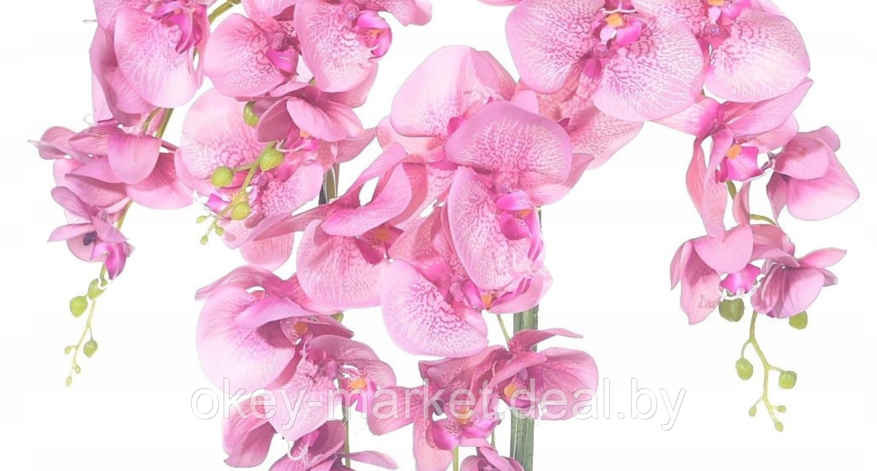 Цветочная композиция из орхидей в горшке F-57 - фото 5 - id-p147752349