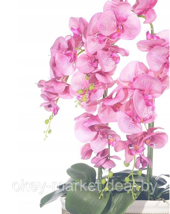 Цветочная композиция из орхидей в горшке F-57 - фото 8 - id-p147752349