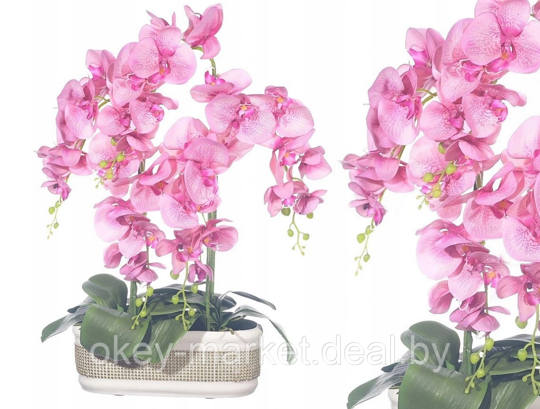 Цветочная композиция из орхидей в горшке F-57 - фото 2 - id-p147752349