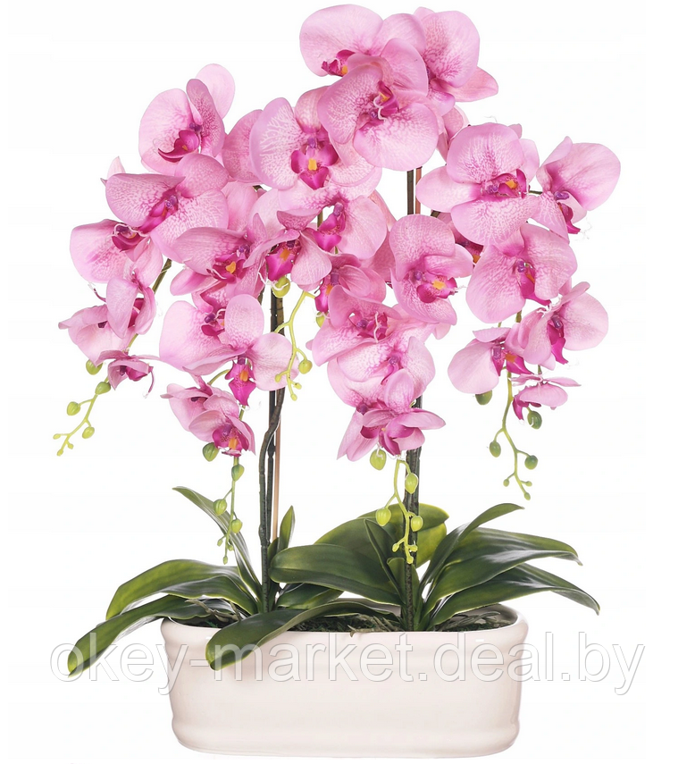 Цветочная композиция из орхидей в горшке R-832, фото 2