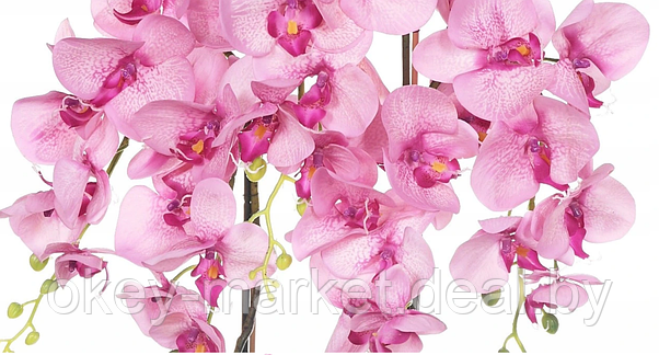 Цветочная композиция из орхидей в горшке R-832, фото 3