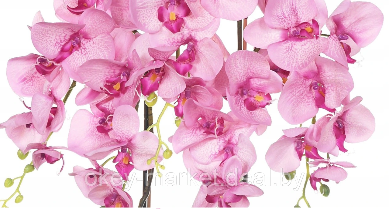 Цветочная композиция из орхидей в горшке R-832 - фото 3 - id-p147752428