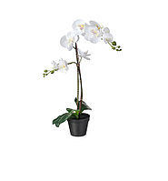 IKEA/ ФЕЙКА Искусственное растение в горшке, Орхидея белый12 см