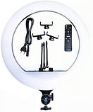 Кольцевая светодиодная LED лампа RL-18 45 см. + сумка + 3 держателя для телефона + штатив 2,1 м., фото 2