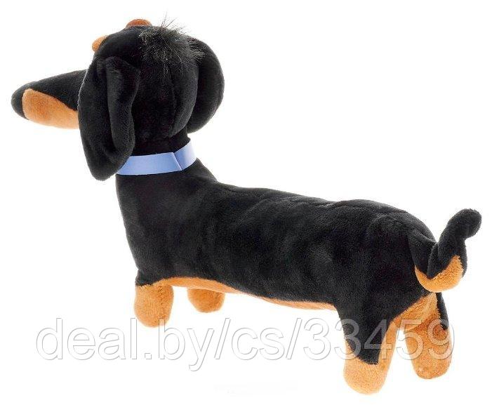 Мягкая игрушка TY Собака такса Бадди, "Тайная жизнь домашних животных" - фото 2 - id-p147853101