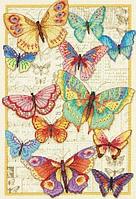 Набор для вышивания крестом «Красота бабочек» • «Butterfly Beauty»