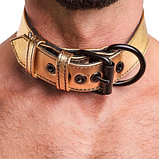 Ошейник с поводком на цепи Lovetoy Bondage Fetish Black Matt Collar With Leash золотистый, фото 2