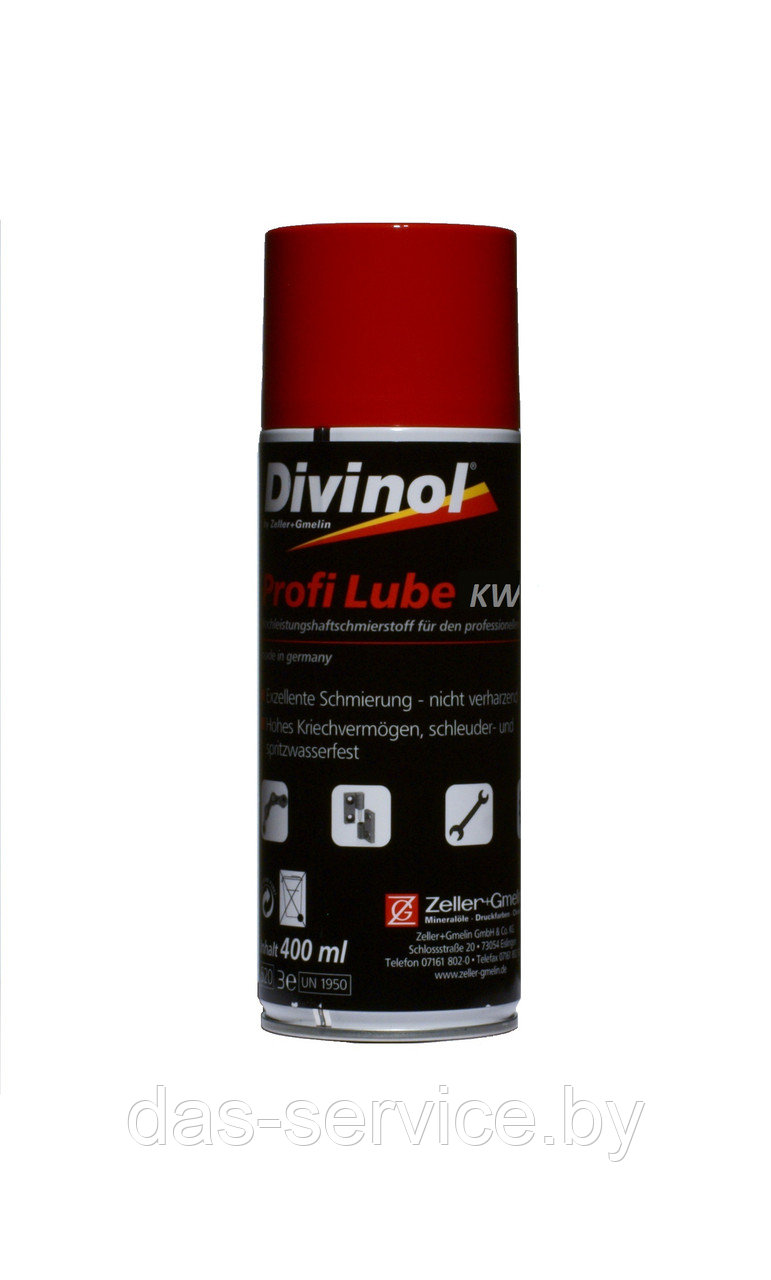 Смазка Divinol Profi Lube KWS (спрей смазка) 500 мл.