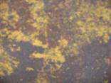 Антик рифлёная с прямой фаской 6 Винные листья, фото 2