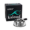 Kaloud lotus (Калауд лотус), фото 3
