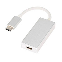 Адаптер - переходник USB3.1 Type-C - Mini DisplayPort, серебро 555510