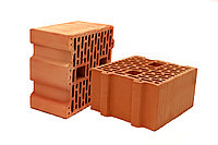 Блок керамический поризованный пустотелый паз гребень СТБ 1719-2007 Размер:250Х250Х138