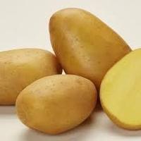 Семена картофеля Крона (Кроне) 2РС