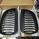 Решетки радиатора BMW E87, фото 2