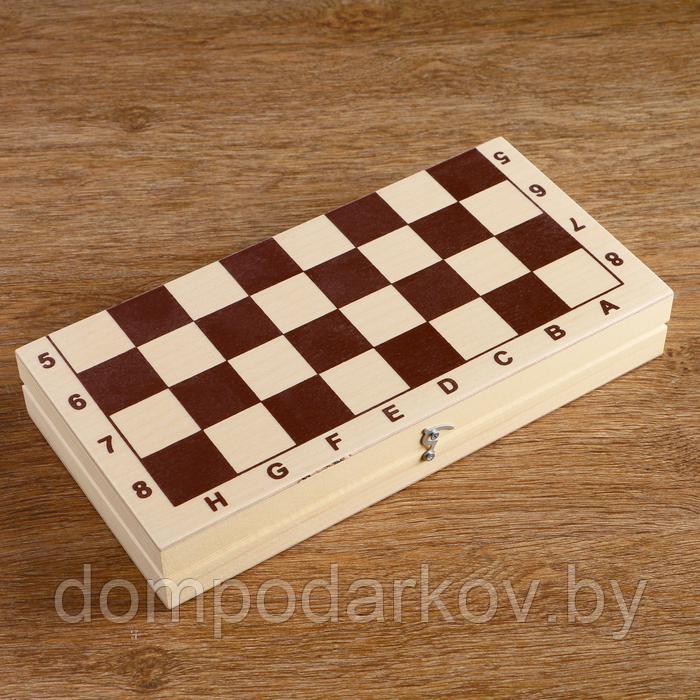Шахматы (доска дерево 29х29 см, фигуры пластик, король h=7 см) - фото 1 - id-p148493081