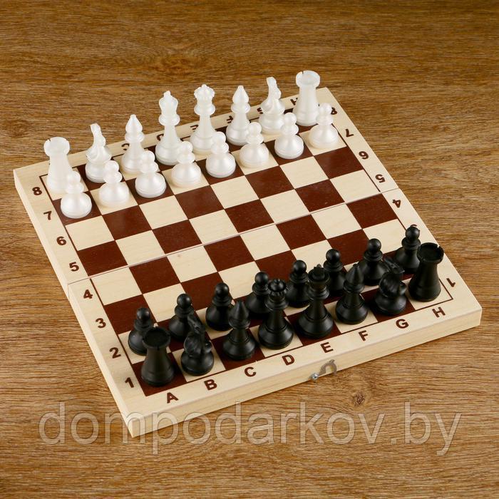Шахматы (доска дерево 29х29 см, фигуры пластик, король h=7 см) - фото 3 - id-p148493081