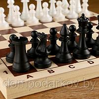 Шахматы (доска дерево 29х29 см, фигуры пластик, король h=7 см), фото 4