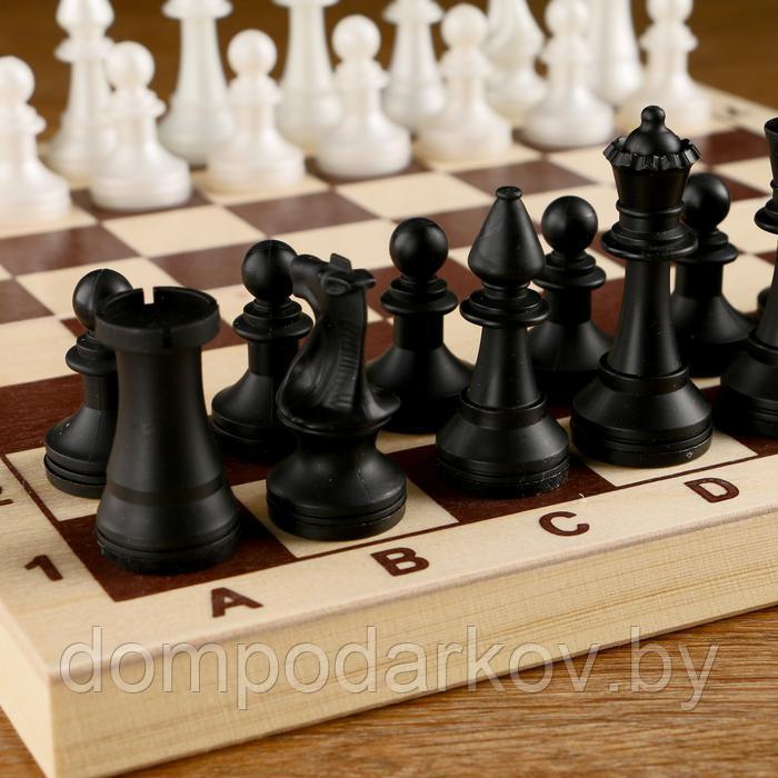 Шахматы (доска дерево 29х29 см, фигуры пластик, король h=7 см) - фото 4 - id-p148493081