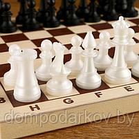 Шахматы (доска дерево 29х29 см, фигуры пластик, король h=7 см), фото 5