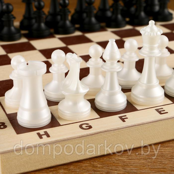 Шахматы (доска дерево 29х29 см, фигуры пластик, король h=7 см) - фото 5 - id-p148493081