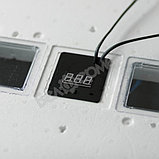 Инкубатор Несушка на 77 яиц (автомат, цифровое табло, вентиляторы) + Гигрометр, арт. 59ВГ, фото 4