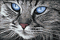 Набор Алмазной мозаики "Голубоглазый кот"