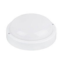 Светодиодный светильник круглый СПП-2 12W
6500K IP54 ETP