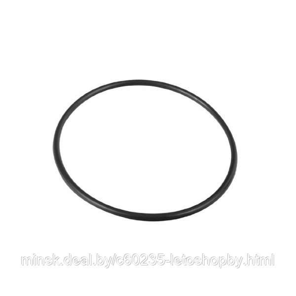 Уплотнительное кольцо Intex 10325 - фото 1 - id-p148652191
