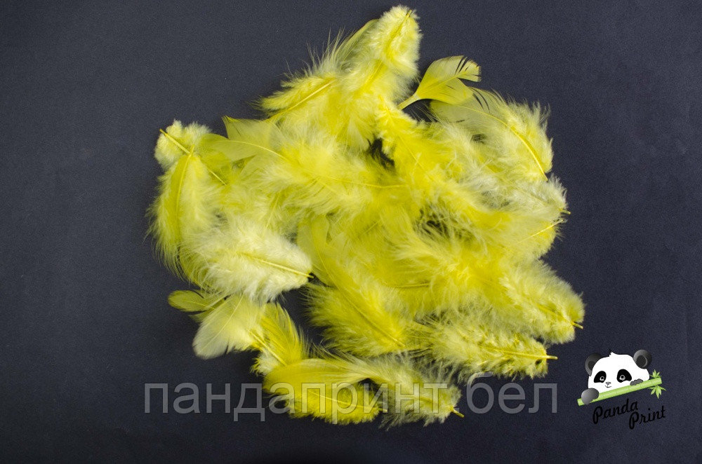 Перья декоративные желтые, 20 шт