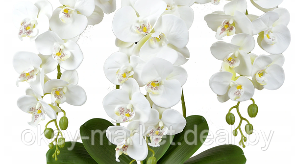 Цветочная композиция из орхидей в горшке 3 ветки D-560, фото 2