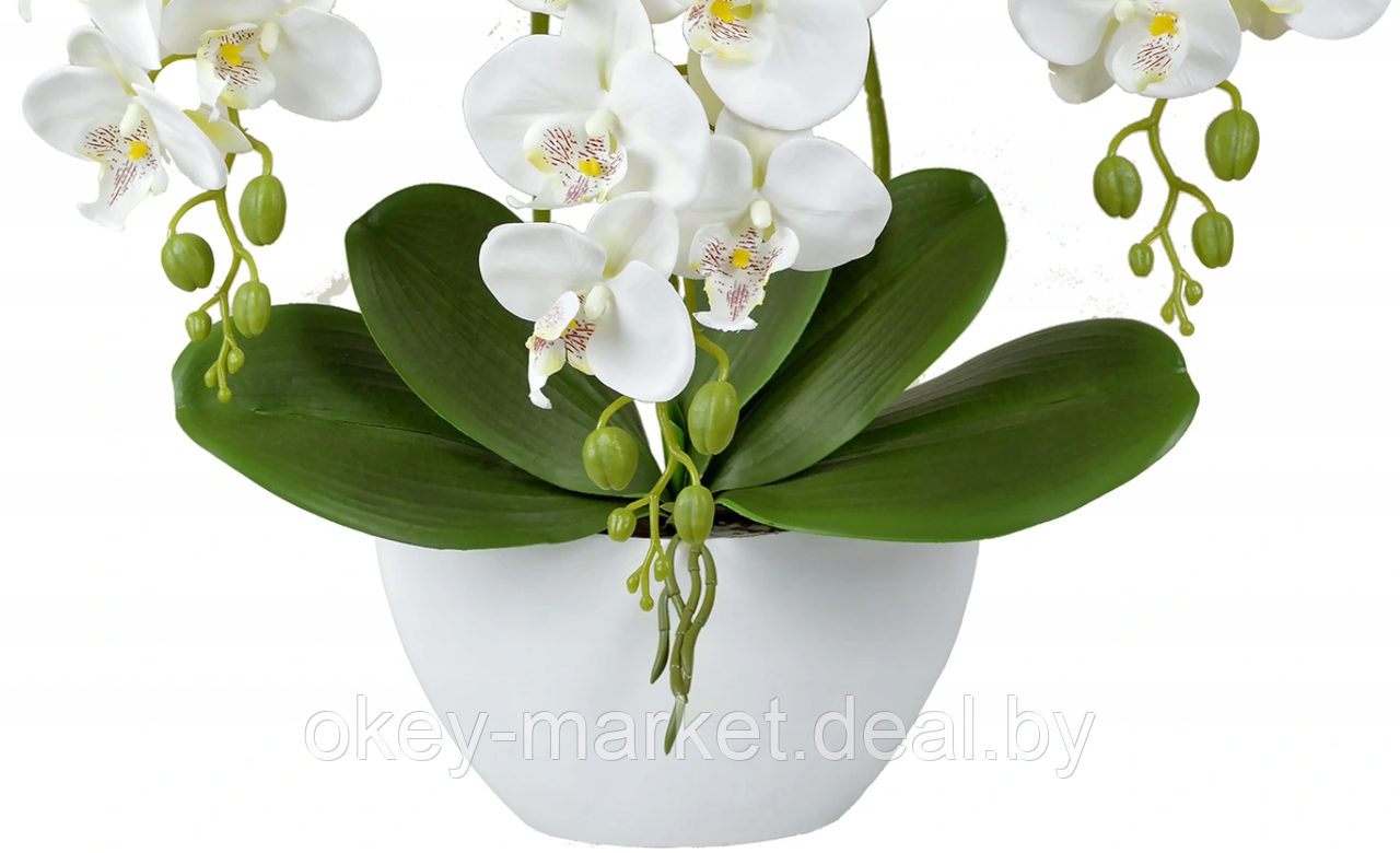 Цветочная композиция из орхидей в горшке 3 ветки D-560 - фото 5 - id-p144876717