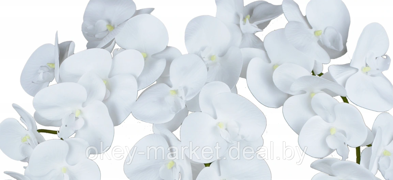 Цветочная композиция из орхидей в горшке 3 ветки D-561 - фото 3 - id-p144877118