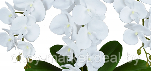 Цветочная композиция из орхидей в горшке 3 ветки D-561, фото 2