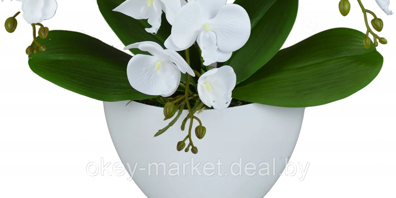 Цветочная композиция из орхидей в горшке 3 ветки D-561 - фото 5 - id-p144877118