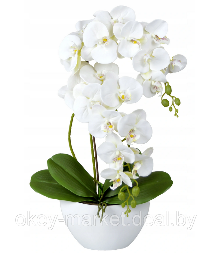 Цветочная композиция из орхидей в горшке 2 ветки D-562 - фото 1 - id-p144876953