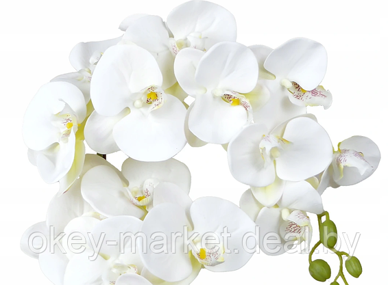 Цветочная композиция из орхидей в горшке 2 ветки D-562, фото 3
