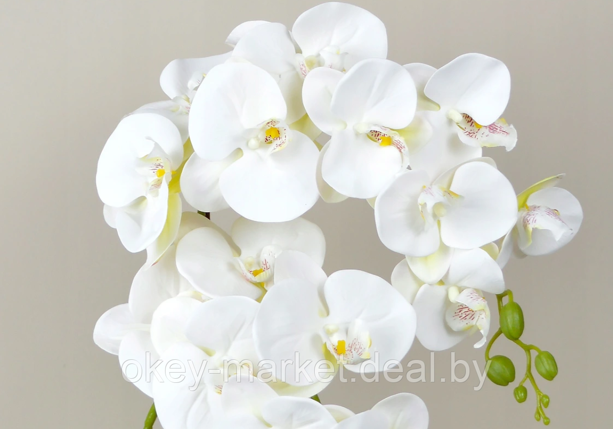 Цветочная композиция из орхидей в горшке 2 ветки D-562 - фото 4 - id-p144876953