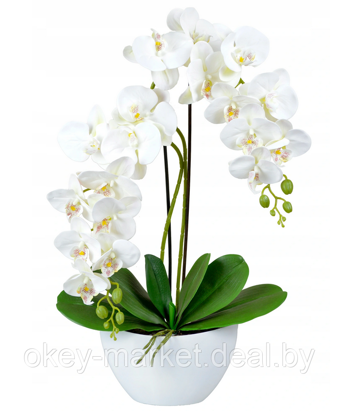 Цветочная композиция из орхидей в горшке 2 ветки D-563 - фото 1 - id-p144878802
